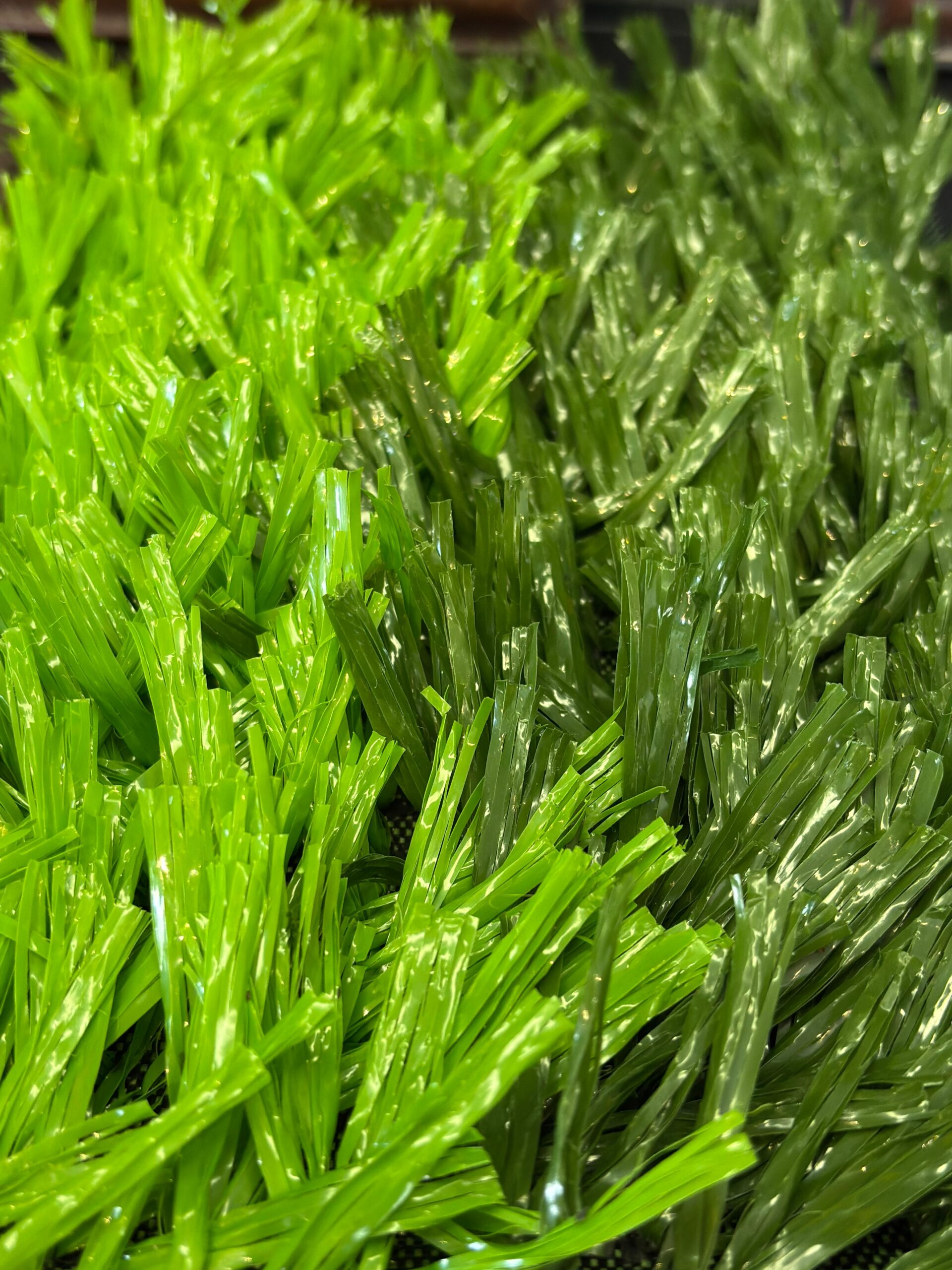 grama sintética fibrilada